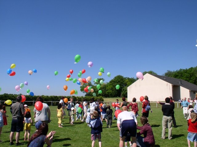 Fête des mères (3)